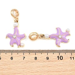 Alloy Enamel European Dangle Charms&nbsp;AL-CBAC2D3-01G-02
