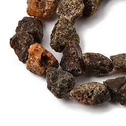 Raw Rough Natural Amber Beads Strands&nbsp;GG-CBAC13F-D01-02