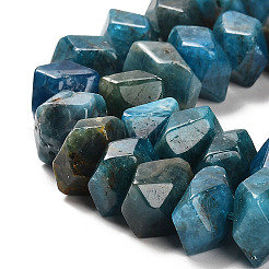 Natural Apatite Beads Strands&nbsp;G-N327-05-06