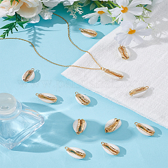 12Pcs Electroplate Cowrie Shell Pendants&nbsp;SHEL-LP0001-05