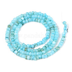 Natural Freshwater Shell Dyed Beads Strands&nbsp;SHEL-T020-29B-02