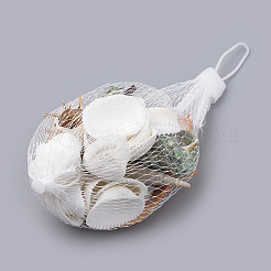 Natural Ark Shell Beads&nbsp;SSHEL-S258-14