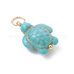 6Pcs 2 Colors Dyed Synthetic Turquoise Pendants&nbsp;PALLOY-JF05173-01