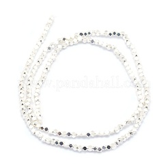 Electroplate Non-magnetic Synthetic Hematite Beads Strands&nbsp;G-L485-10B-S