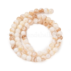Natural Freshwater Shell Beads Strands&nbsp;SHEL-T011-02-6mm