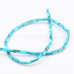 Natural Shell Bead Strands&nbsp;BSHE-P016-M