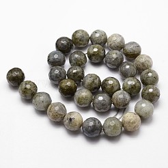 Natural Labradorite Beads Strands&nbsp;G-G736-04-12mm