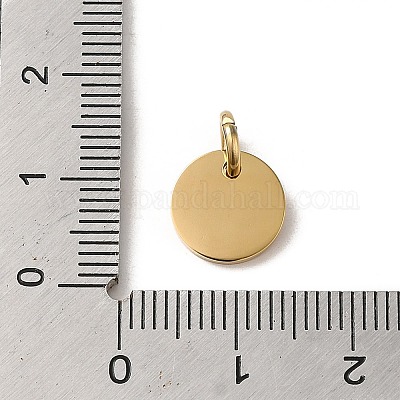 304 Stainless Steel Charms&nbsp;STAS-L022-313G-1