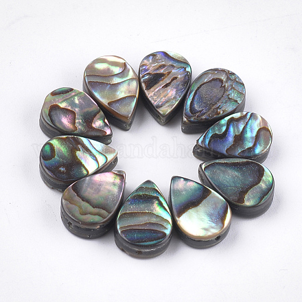 Abalone Shell/Paua Shell Beads&nbsp;SSHEL-T008-08-1