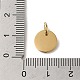 304 Stainless Steel Charms&nbsp;STAS-L022-313G-3
