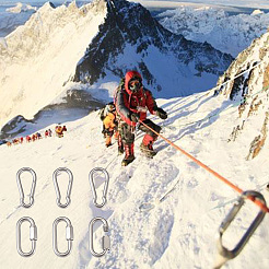6Pcs 2 Style 304 Stainless Steel Rock Climbing Carabiners&nbsp;STAS-TA0001-33P