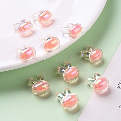 Transparent Acrylic Beads&nbsp;TACR-S152-05B-SS2109