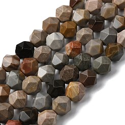 Natural Picasso Jasper Beads Strands&nbsp;G-Z119-A25-02