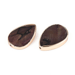 Dyed Natural Freshwater Shell Beads&nbsp;SHEL-T020-23