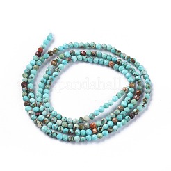 Natural Magnesite Beads Strands&nbsp;TURQ-F017-01A