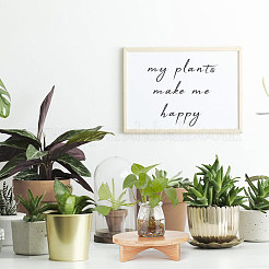 3 Sets 3 Style Wood Holder for Planter Pots&nbsp;AJEW-BC0006-54