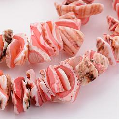 Natural Shell Bead Strands&nbsp;BSHE-P010-03