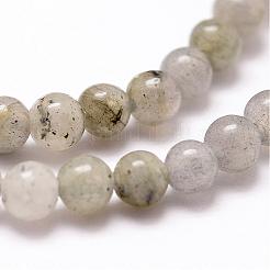 Natural Labradorite Bead Strands&nbsp;G-D840-64-4mm
