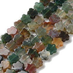 Natural Indian Agate Beads Strands&nbsp;G-B138-C04-01