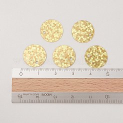 Ornament Accessories Plastic Paillette/Sequins Charms&nbsp;PVC-E001-09-LS01