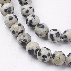 Natural Dalmatian Jasper Stone Bead Strands&nbsp;G-R193-14-6mm