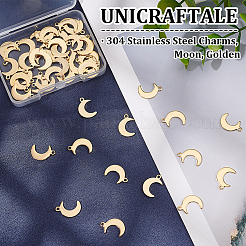 304 Stainless Steel Charms&nbsp;STAS-UN0018-87G
