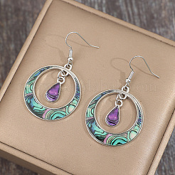 Bohemian Style Zinc Alloy Plastic Dangle Earrings&nbsp;FS-WG6C237-01