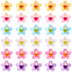 60Pcs 6 Colors Plastic Cabochons&nbsp;KY-SC0002-54B