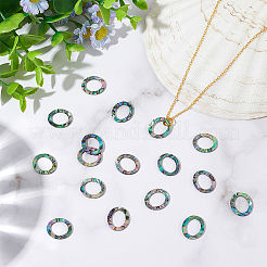 25Pcs Natural Abalone Shell/Paua Shell Cabochons&nbsp;SHEL-WR0001-01