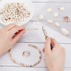 Natural Shell Beads Strands&nbsp;BSHE-WH0013-01