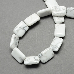 Rectangle Shaped Gemstone Natural Howlite Stone Beads Strands&nbsp;G-S112-23