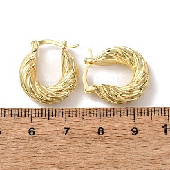 Brass Hoop Earrings&nbsp;EJEW-Z164-32G