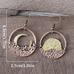 Zinc Alloy Dangle Earrings&nbsp;FS-WG79C84-01