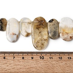Natural African Opal Beads Strands&nbsp;G-D365-D01