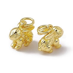 Rack Plating Brass Charms&nbsp;X-KK-C007-17G