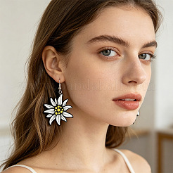 Iron & Acrylic Dangle Earrings for Women&nbsp;WGF0FCA-01