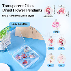 5Pcs Transparent Glass Pendants&nbsp;GLAA-TA0002-83