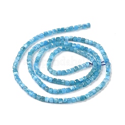 Natural Apatite Beads Strands&nbsp;G-P457-B01-14A