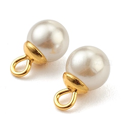 304 Stainless Steel Charms&nbsp;STAS-Z009-02D-G