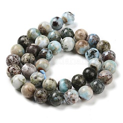 Natural Larimar Beads Strands&nbsp;G-P524-A02-04
