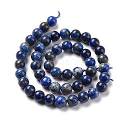 Natural Lapis Lazuli Beads Strands&nbsp;X-G-J396-8mm