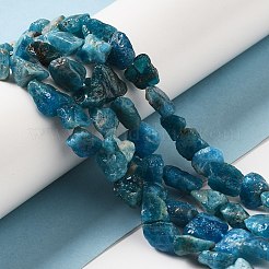 Raw Rough Natural Apatite Beads Strands&nbsp;G-I283-G03-01