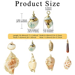 16pcs 8 Styles Electroplated Natural Mixed Shell Big Pendants&nbsp;SSHEL-CJ0001-21