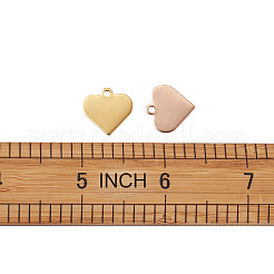 304 Stainless Steel Charms&nbsp;STAS-BT0001-03