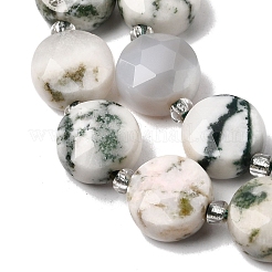 Natural Tree Agate Beads Strands&nbsp;G-D105-A05