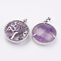 Natural Amethyst Pendants&nbsp;KK-K216-A05