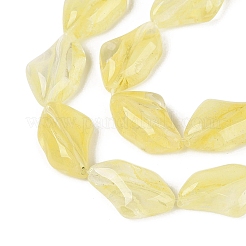 Handmade Lampwork Beads Strands&nbsp;LA-N046-02N