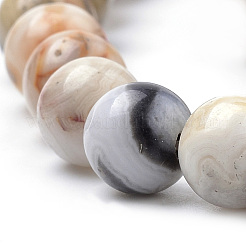 Natural Crazy Lace Agate Beads Strands&nbsp;G-S259-38-10mm