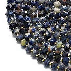 Natural Sodalite Beads Strands&nbsp;G-P573-A46-01