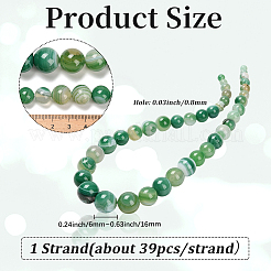 1 Strand  Natural Banded Agate Graduated Beads Strands&nbsp;G-PA0002-04B